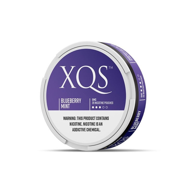 XQS Blueberry Mint — 6mg